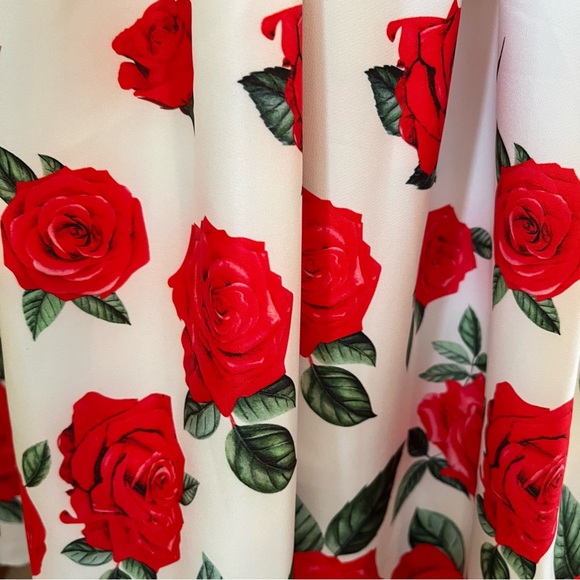 Belle Pogue White Sleeveless Fit & Flare Midi Dress with Red Rose Print - Picture 7 of 9